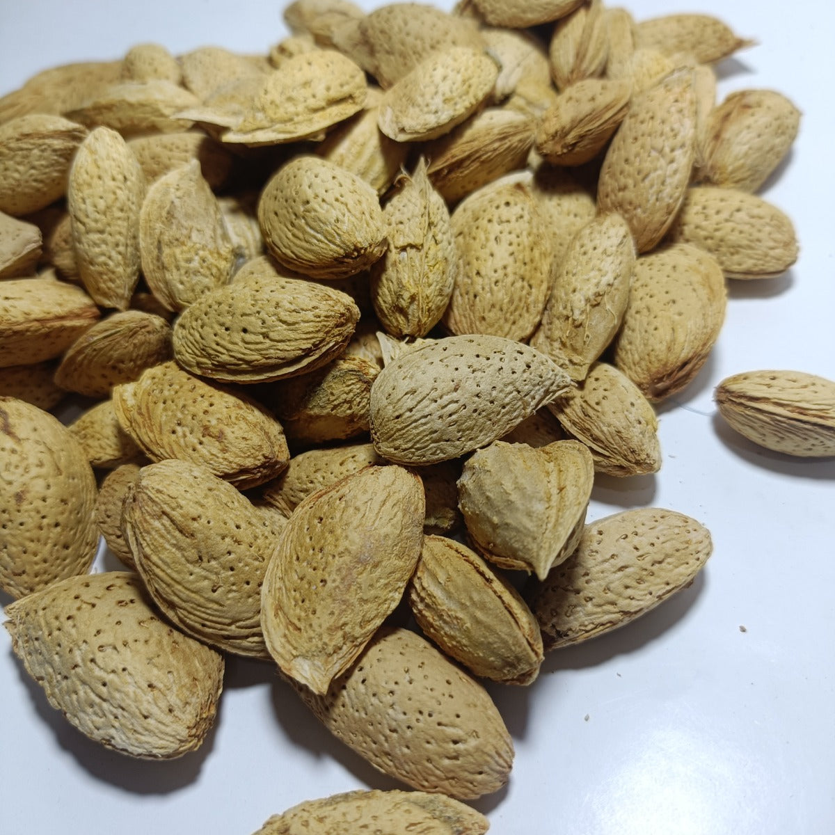 Al-Badar Fresh Stock American Almonds With Shell (American Badam)