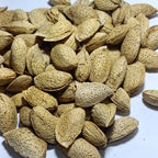 Al-Badar Fresh Stock American Almonds With Shell (American Badam)