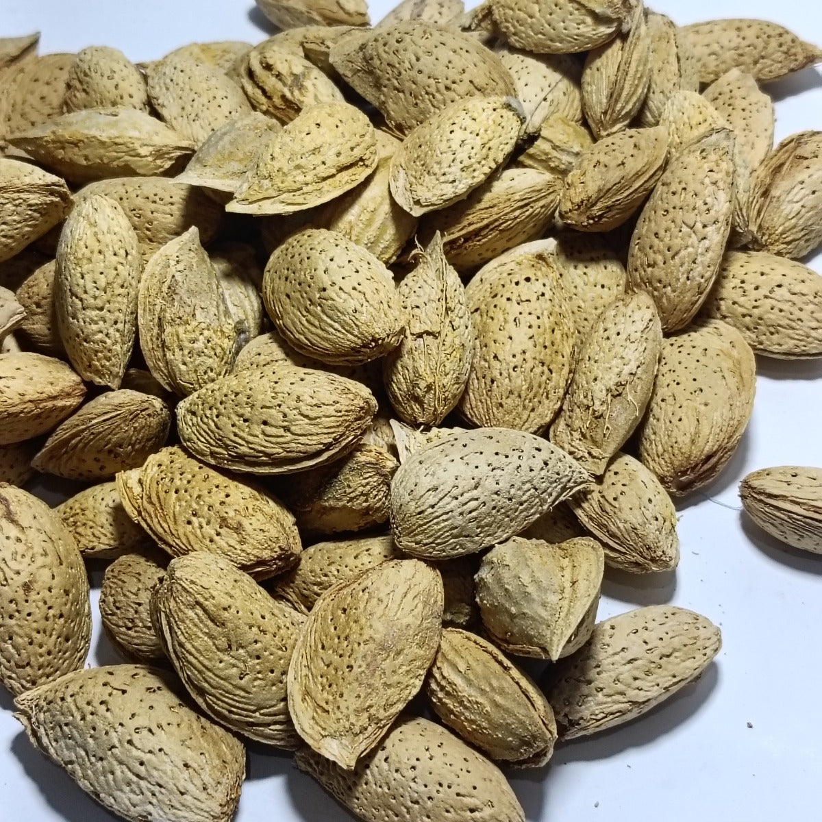 Al-Badar Fresh Stock American Almonds With Shell (American Badam)