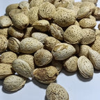 Al-Badar Fresh Kagzi Almonds with Shell (Kagzi Badam)
