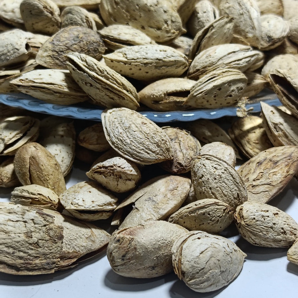 Al-Badar Ptaasa Almonds With Shell (Ptaasa Badam)