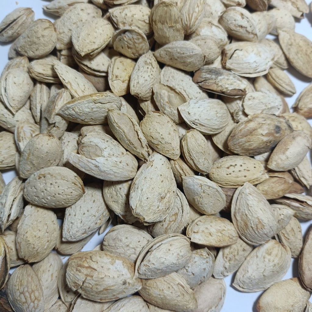 Al-Badar Ptaasa Almonds With Shell (Ptaasa Badam)